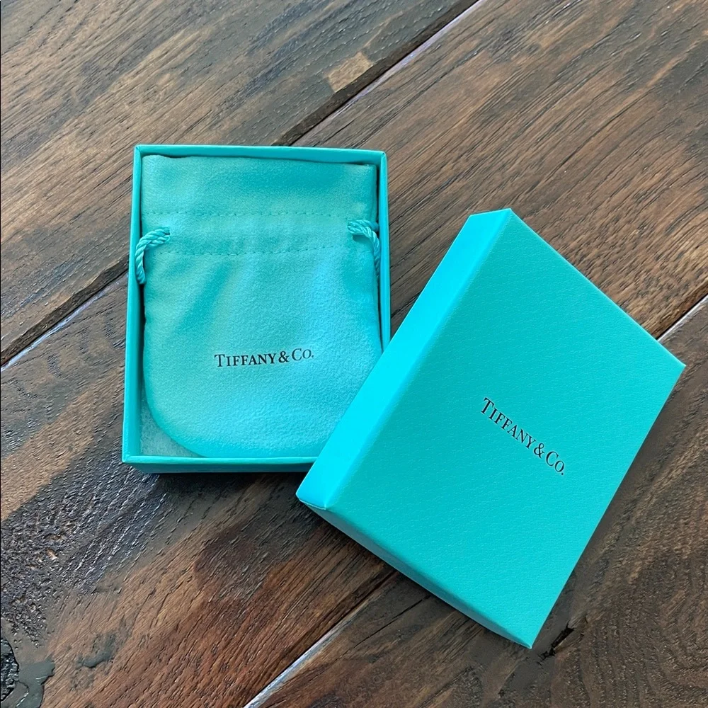 Tiffany Shopping Bag, Jewelry Bag, Blue Box & Envelope - NWT - Picture 10 of 11